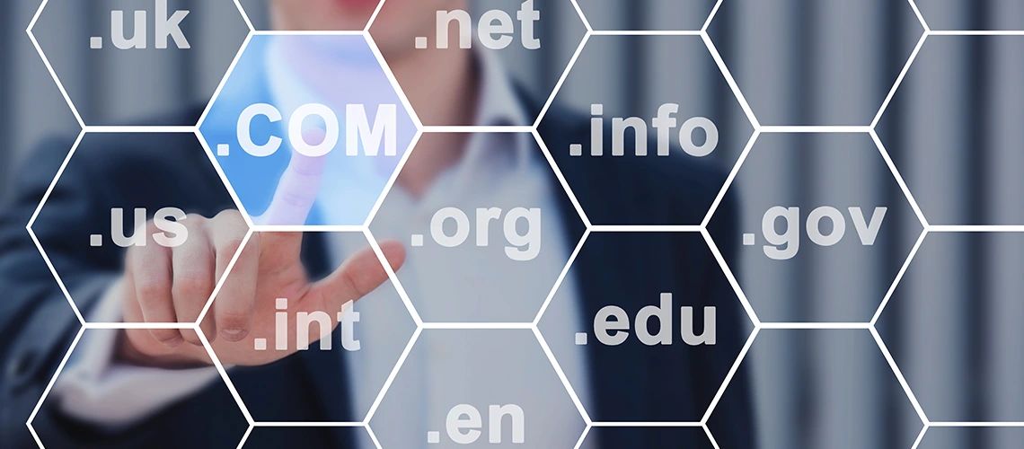 dominio web