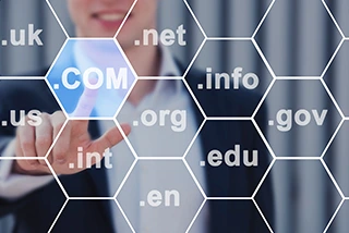 dominio web
